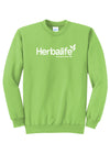 Traveler Sweatshirt