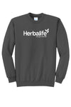 Traveler Sweatshirt