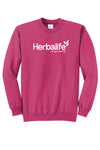 Traveler Sweatshirt