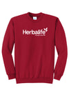 Traveler Sweatshirt