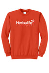 Traveler Sweatshirt